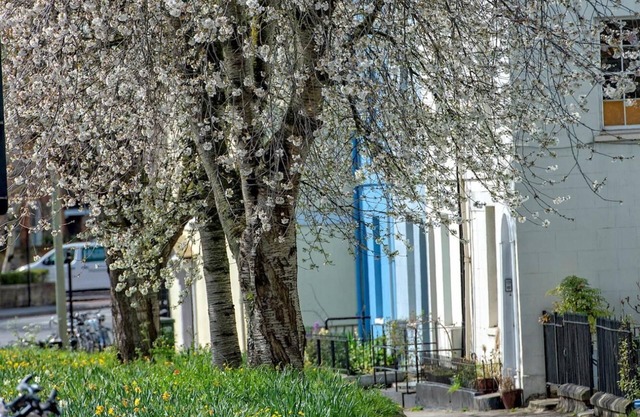 A Very British Place to Stay - 3 Bedrooms Central