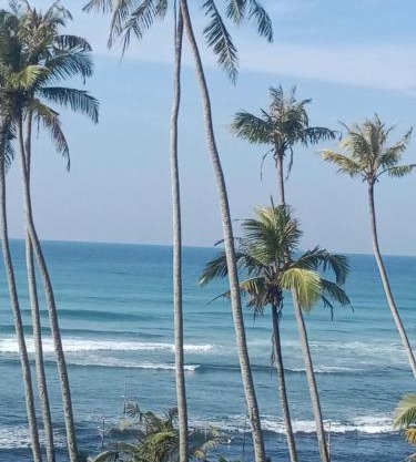 ABR Ahangama Beach Resort