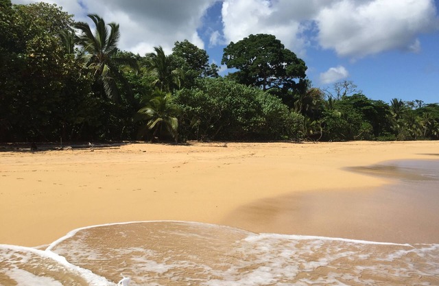 ABRACADABRA BLUFF BEACH VACATION HOME