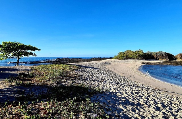 Adventure22,rodeado de Naturaleza y Tranquilidad. Se Aceptan Mascotas