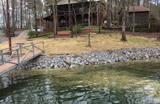 Affordable Low Rates/Level Lot/Boat Ramp/Great lake spot