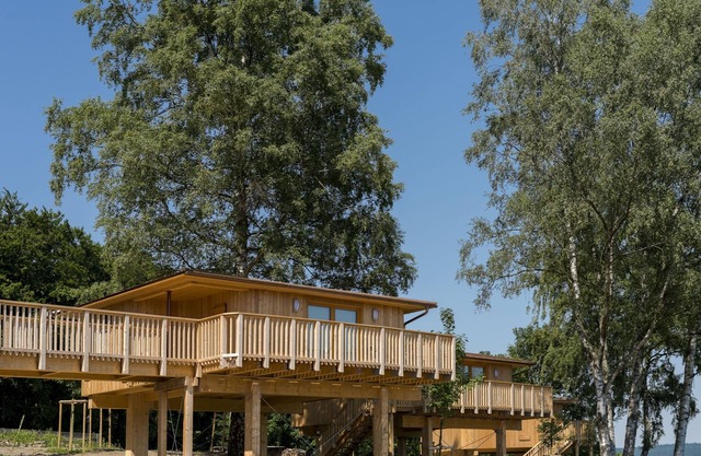 Ahornhöhe tree house with barrier-free access