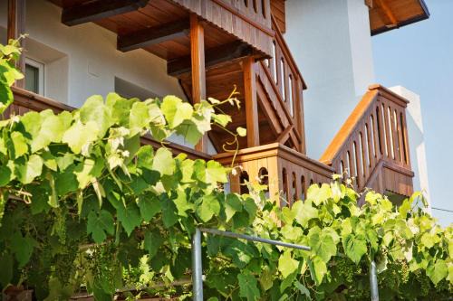 Albergo Diffuso "Col Gentile" Socchieve