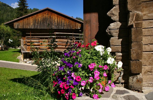 Albergo Diffuso Sauris di Sotto