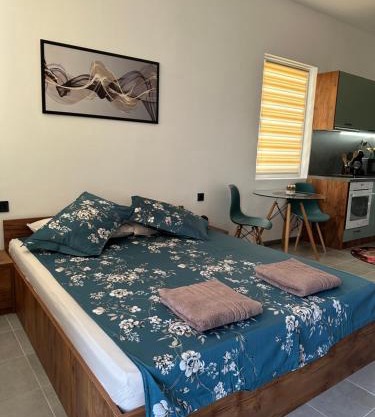 Alex Apartment