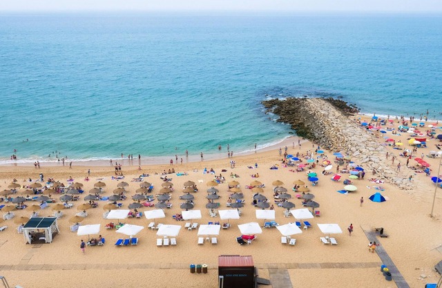 Algardia Apartments