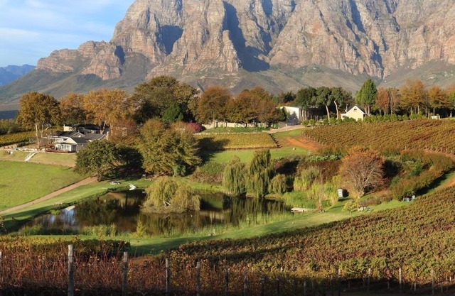 Alluvia Boutique Winery & Luxury Accommodation