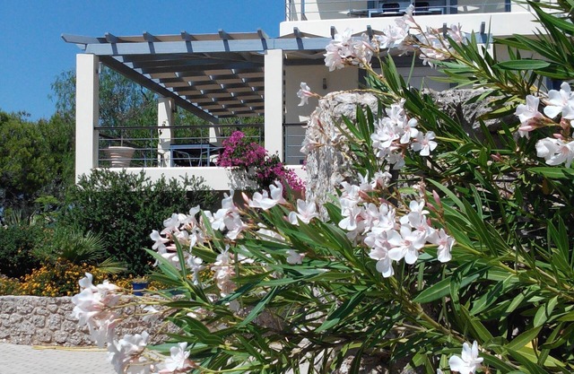 AlphaVilla to relax in peace, with a beautiful view of the sea. Welcome!