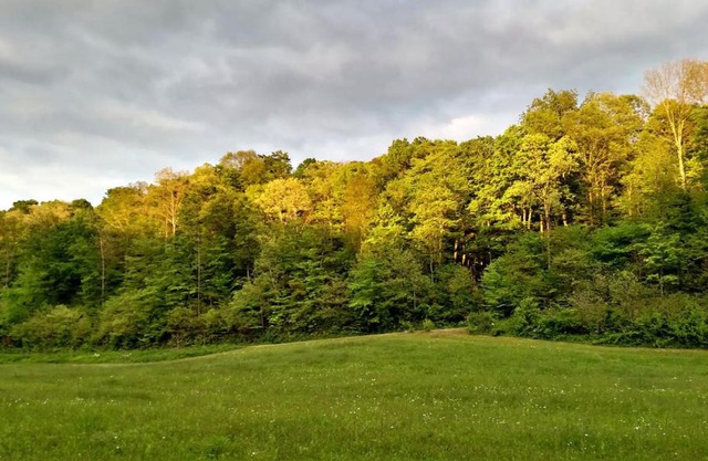 Altenbrauch Farm - Camping in the Hocking Hills