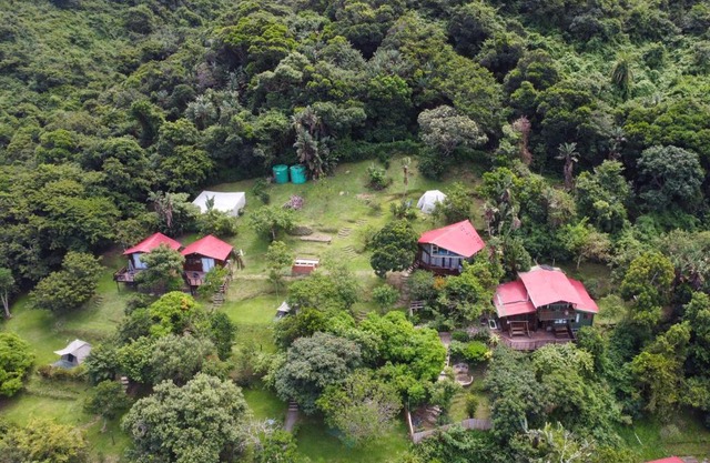 Amapondo