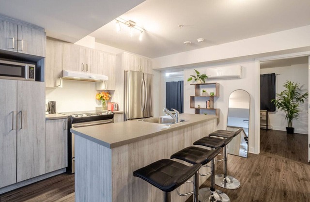 Amazing 4 Bedroom Unit in Downtown
