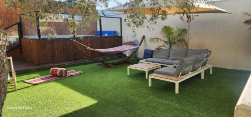 Amy's paradis גן העדן של איימי
