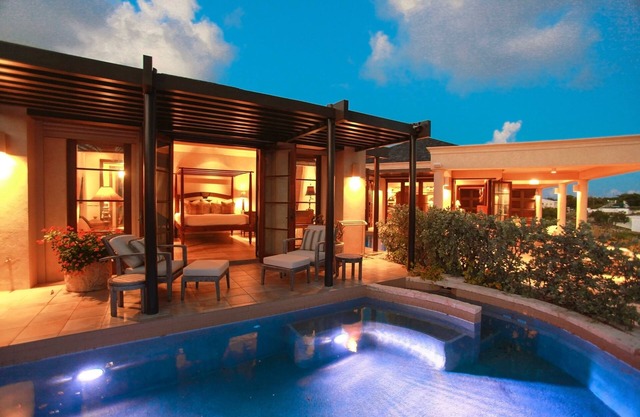 Anguilla's Bird of Paradise