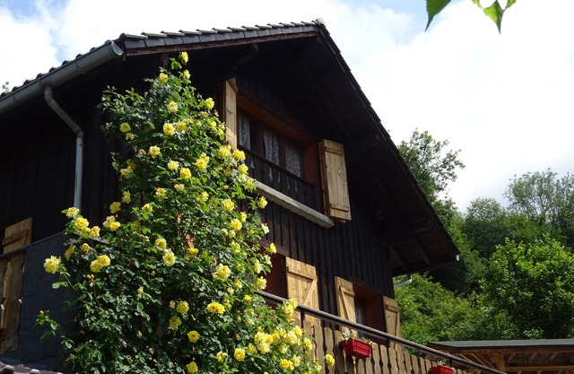 Annecy Talloires, "Chalet de LA SCIERIE" exceptional setting peace and quiet