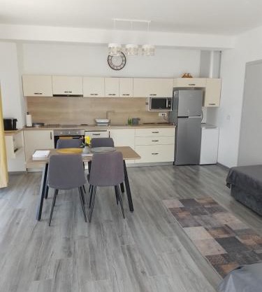 Apartament regim hotelier Băile Felix