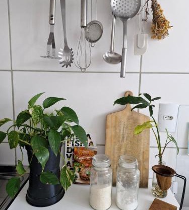 Apartamento inteiro