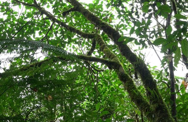 Apartamento Rio Celeste Dreams