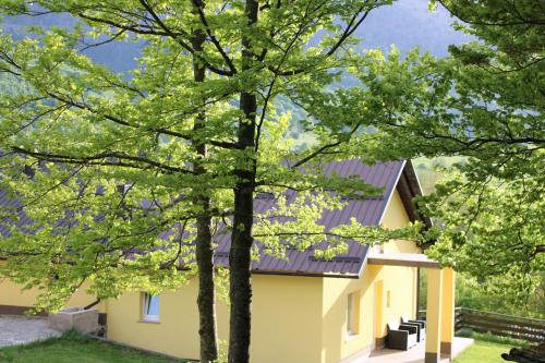 Apartman Juka
