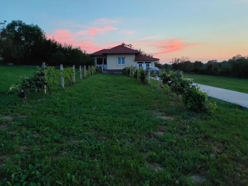 Apartman Milenkovic