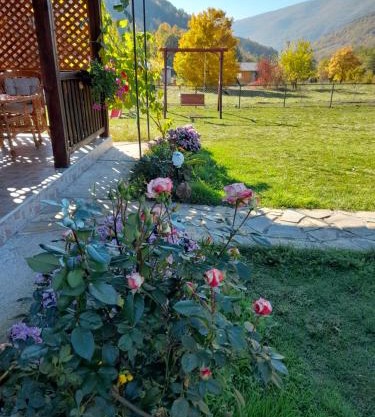 Apartman Petar