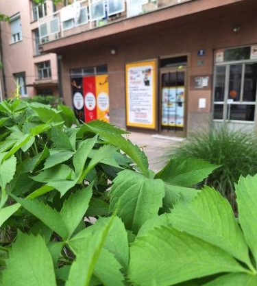 Apartman Rajna