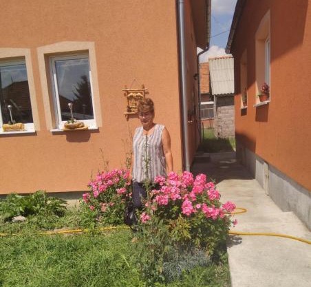 Apartmani ,Bato,