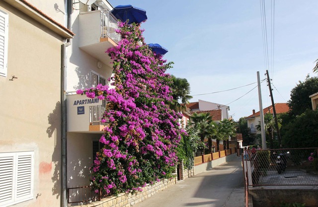 Apartmani J&R Babara