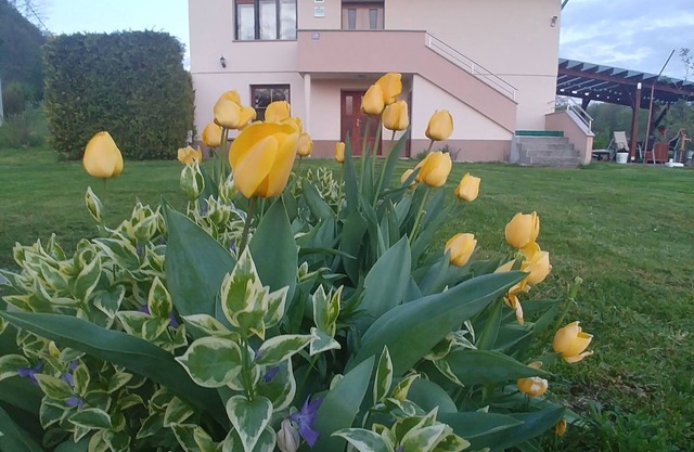 Apartment Arena (4+2), very close to the wellness centra Sv. Martin