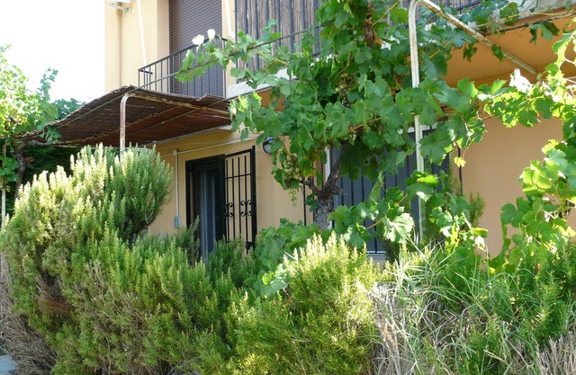 Apartment/flat - Alénya