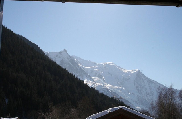 Apartment in quiet chalet facing Mont-Blanc, close to Grands Montets.