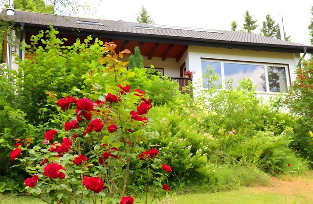 Apartment 'Jachmann, 80qm' with Private Terrace, Private Garden and Wi-Fi