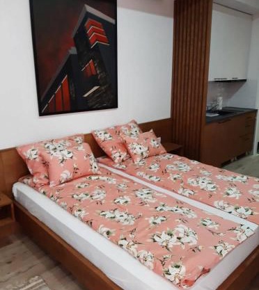 Apartment Mašić