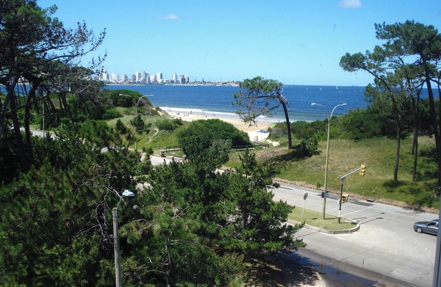 Apartment on the mansa beach in Punta del este