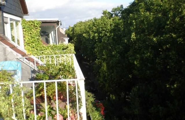 Apartment Stadtmitte - Dachapartment