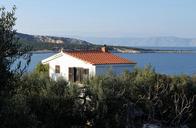 Apartments by the sea Cove Pokrivenik, Hvar - 5224