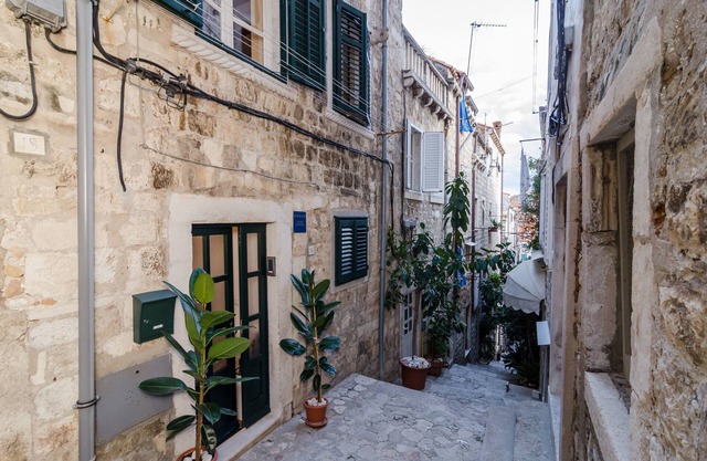 Apartments Raic