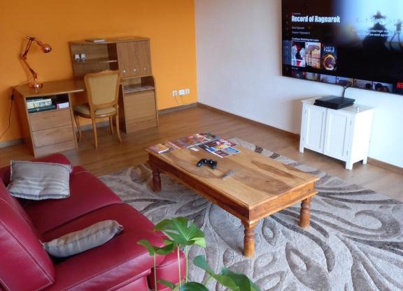 Appartement Blagnac
