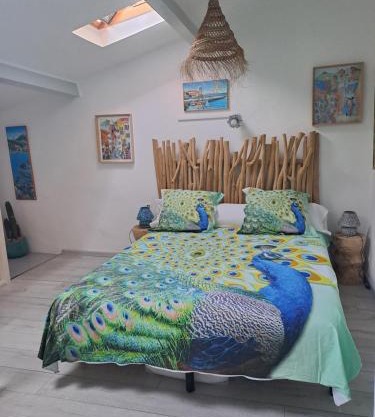 Appartement typique 2 étoiles avec clim