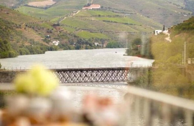 Apt. in Pinhão, heart of Alto Douro wine region, vineyards and Douro River view