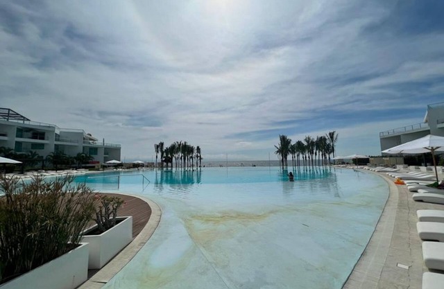 Aria Ocean 255 Flamingos