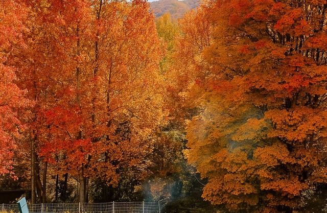 Asheville-area Autumn Retreat; Clean, Spacious 4BR Home Perfect for Family Stays