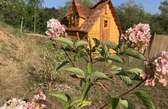 Au Bonheur Comtois unusual cabin with swimming pool