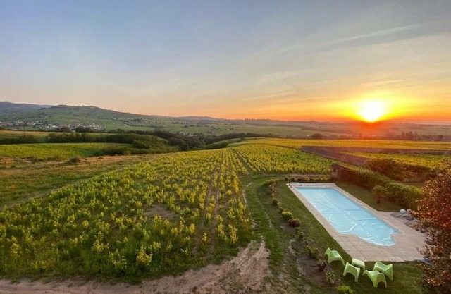Au cœur des vignes Chénas du Beaujolais