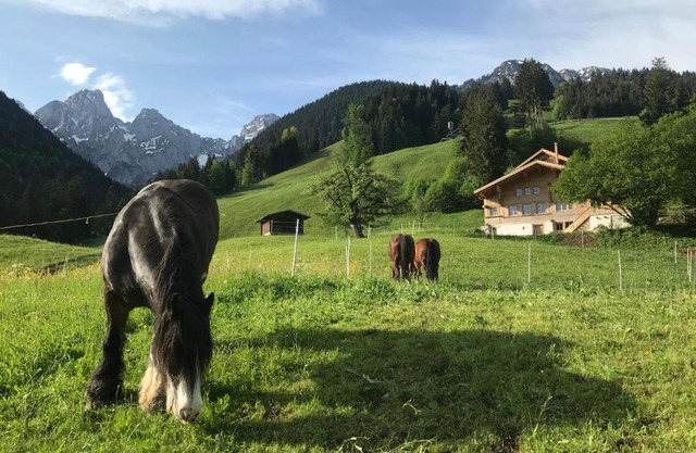 Au Pré des Chevaux
