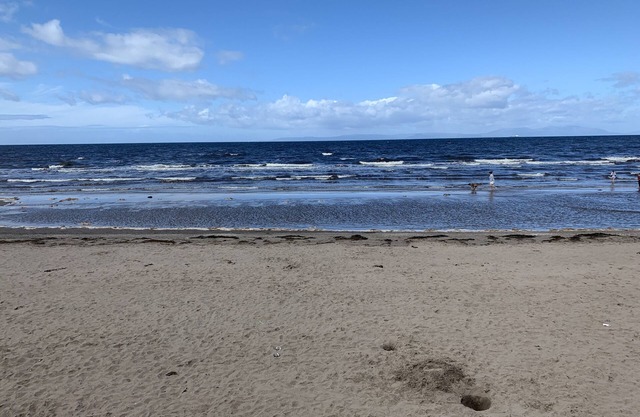 Ayr Holiday Apartment