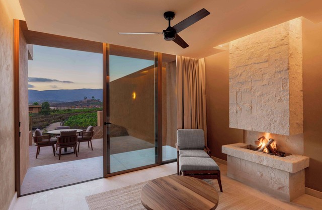Banyan Tree Veya Valle De Guadalupe
