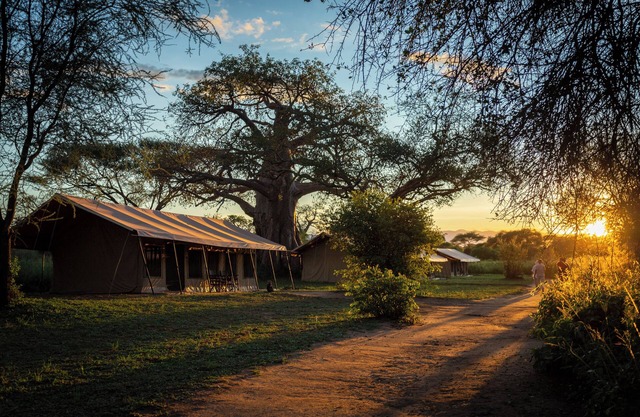 Baobab Tented Camp