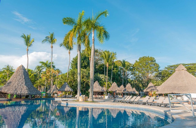 Barceló Tambor