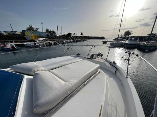 Bateau double cabine proche de la plage