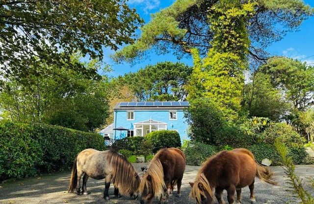 Bay View Cottage